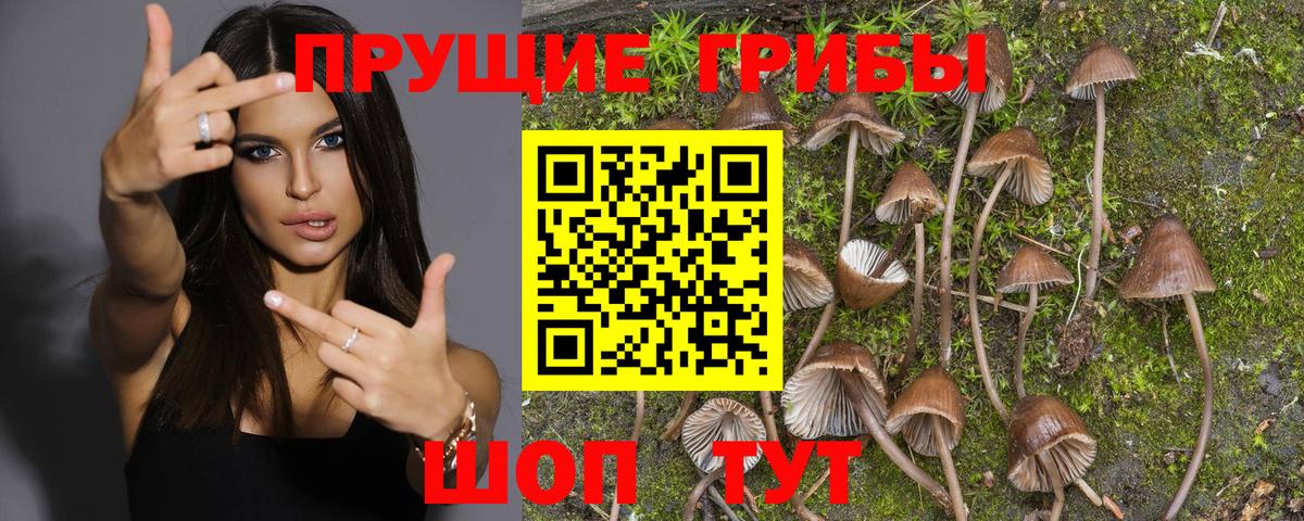 Псилоцибиновые грибы мухоморы Энгельс