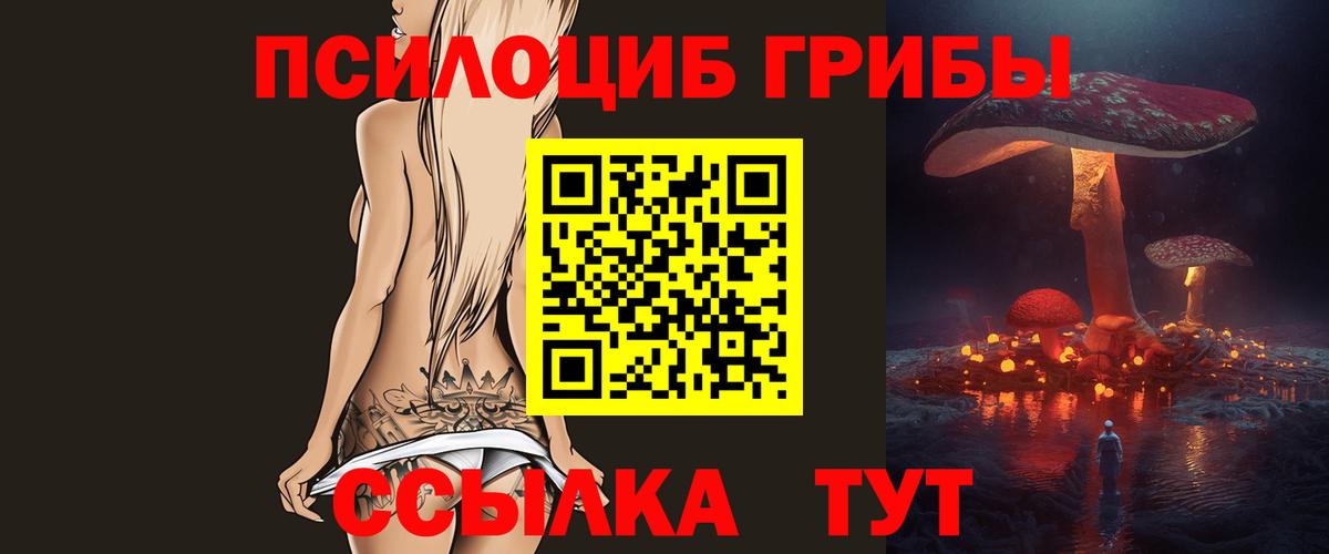 Энгельс  Псилоцибиновые грибы Psilocybe  Вход с VPN 