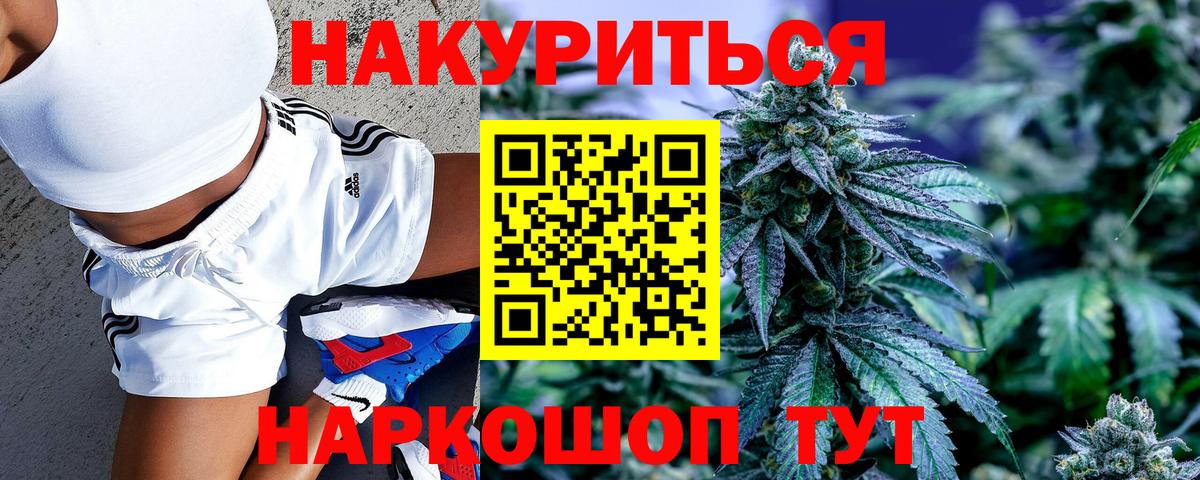Марихуана конопля Энгельс